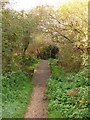 Boardwalk on Alver Valley trail