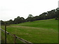 A field near Studland