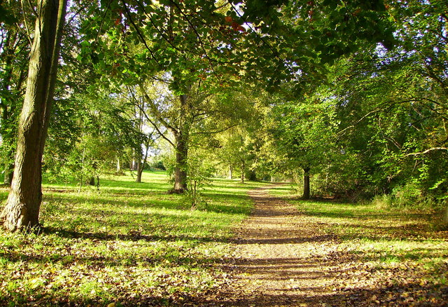 Bluebell Walk Abbots Farm Rugby