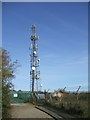 Mast on Sedgley Beacon