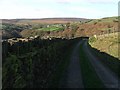 Track to Bottoms Farm.