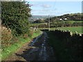 Track Near Lower Laithe.