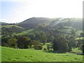 Hillside in the Ceiriog valley