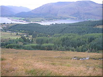 NN0363 : Forestry near Corran by Andrew Spenceley