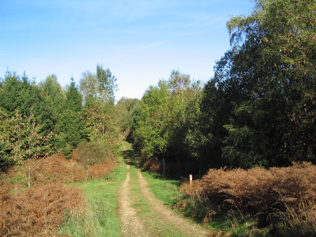 Bridleway through Park Colsters, north-east of Shire Hill Lodge