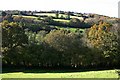 Autumnal Hillside