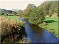 River Ceiriog by Llanarmon DC