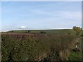 Embanked reservoir near Coalgarth Farm.