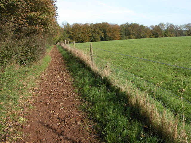 Bridleway to Hazel Wood © Philip Halling :: Geograph Britain and Ireland