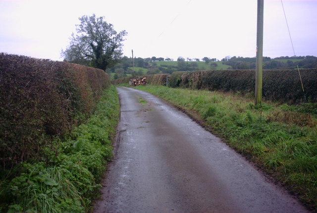 A Country Lane