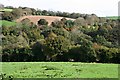 Woodland and Farmland