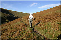 SD7939 : Path Ogden Clough by Peter Standing