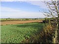 Arable farmland near Kerchesters