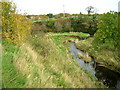 Bend on Calder Water at Langlands