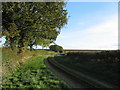 Bridleway south-east of Deenethorpe