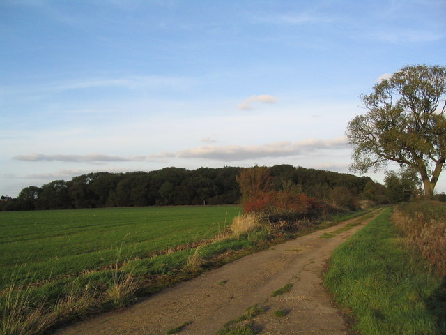 Bridleway to Langley Coppice
