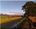 Lane near Gilestown