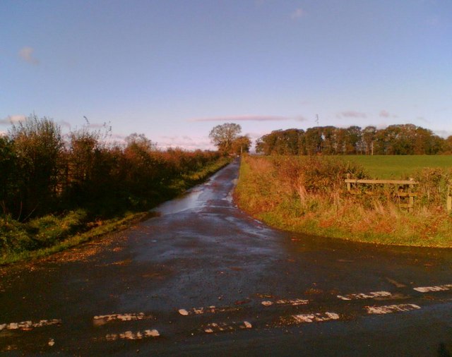 Lane near Gilestown