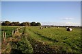 Farmland off Pauls Lane