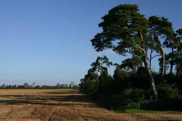 Field boundary near Red Lodge