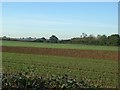 Partly re-ploughed field