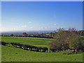 SJ5466 : Willington - view from beside footpath Willington 2 by Mike Harris