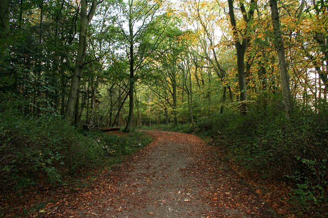 A walk through Twyford Wood: No 10 © Kate Jewell cc-by-sa/2.0 ...