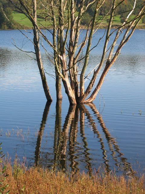 Ogston Reservoir