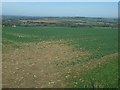 Oxfordshire fieldscape