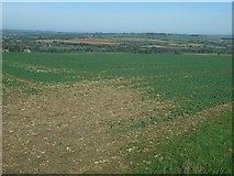 SP2816 : Oxfordshire fieldscape by Jennifer Luther Thomas