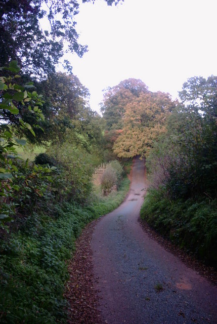 Butterhill Lane