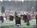 Western cemetery, Ely