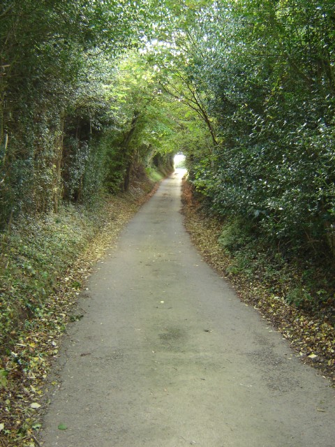 Sunken lane near Pentre Bach, Nercwys
