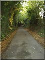 Sunken lane near Pentre Bach, Nercwys