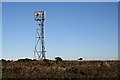 SW7346 : Mobile Phone Mast at Two Burrows by Tony Atkin