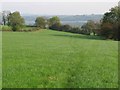 Footpath to Hognaston