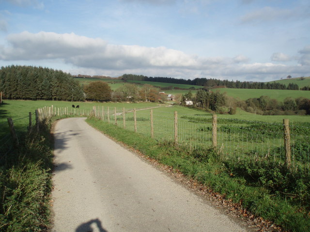 The road to King's Brompton Farm