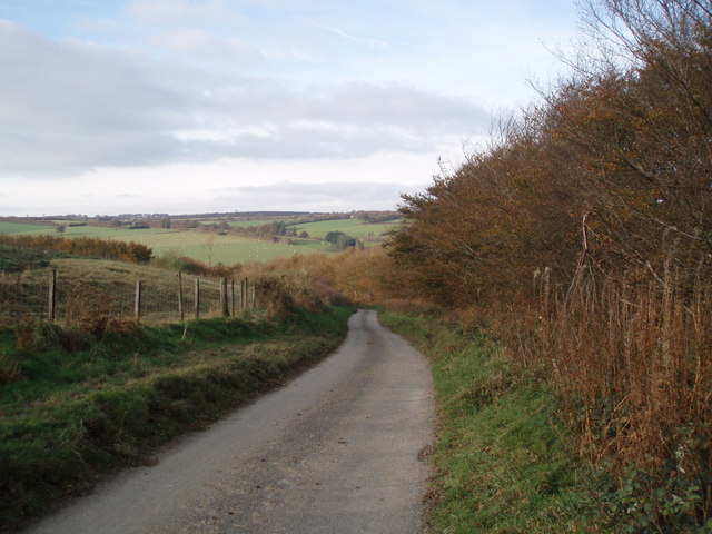 Road at Blagdon Hill
