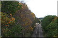 Down the track with Dalvey Smithy Cottages just visible.