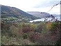 Autumn above Lochearnhead