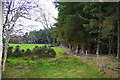 Looking northwestwards along Airdrie Woods near Mount.