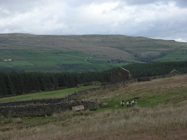 Above Burnhope Reservoir © Andrew Smith cc-by-sa/2.0 :: Geograph ...