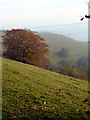 Looking towards Coombe Hill