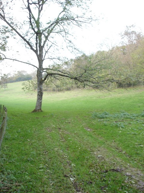 The Bottom northeast of Chase Woods
