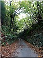 Lane leading to Coombehall Farm