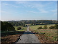 New track into Hainault Forest