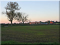 Farmland near Arnesby