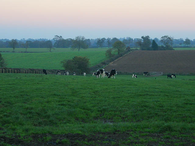 Farmland at Bruntingthorpe