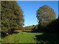 Meadow by Ayleston Brook