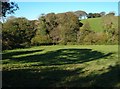 Shadows in valley below Wastor